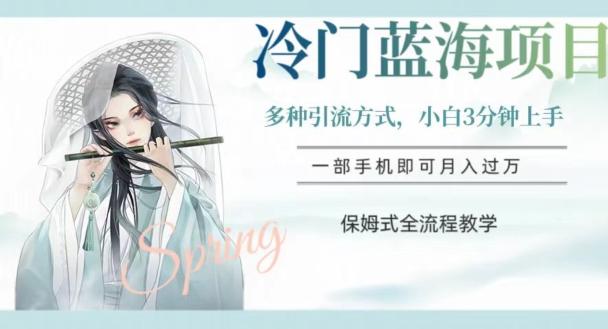 冷门蓝海项目，操作简单，小白3分钟上手，多种引流方式，保姆式全流程教学【揭秘】-禾谷轻创网