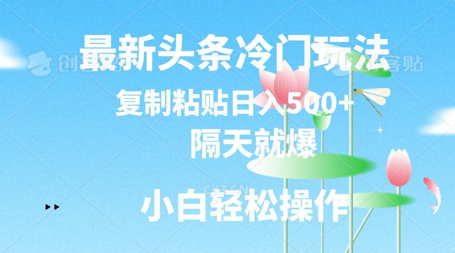 最新头条冷门玩法，隔天就爆，复制粘贴日入500+-禾谷轻创网