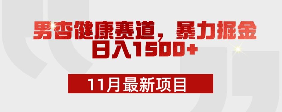 11月最新项目，男杏健康赛道，暴力掘金，日入1500+-禾谷轻创网