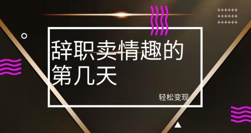 冷门赛道，辞职卖情趣的第几天，超暴力项目-禾谷轻创网