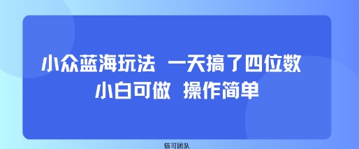 小众蓝海玩法 一天搞了四位数 小白可做 操作简单-禾谷轻创网