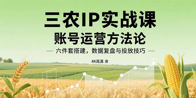 三农IP实战课：账号运营方法论，六件套搭建，数据复盘与投放技巧-禾谷轻创网