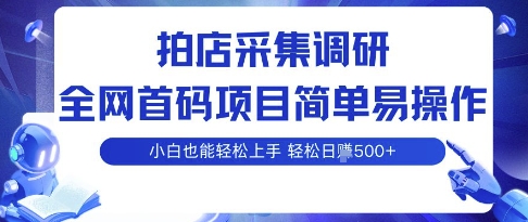 拍店采集调研，全网首码项目，简单易操作， 小白也能轻松上手，多账号操作，轻松日入5张【揭秘】-禾谷轻创网
