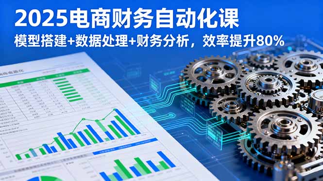 2025电商财务自动化课，模型搭建+数据处理+财务分析，效率提升80%-禾谷轻创网