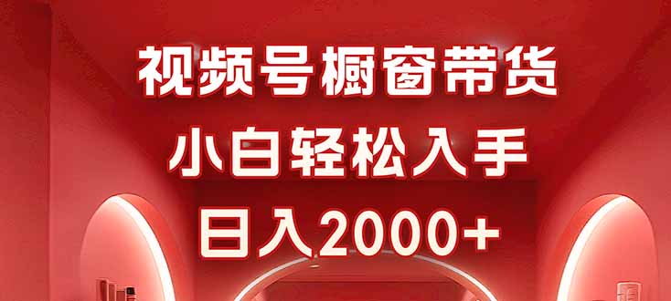 视频号橱窗带货，小白轻松入手，日入2000+-禾谷轻创网