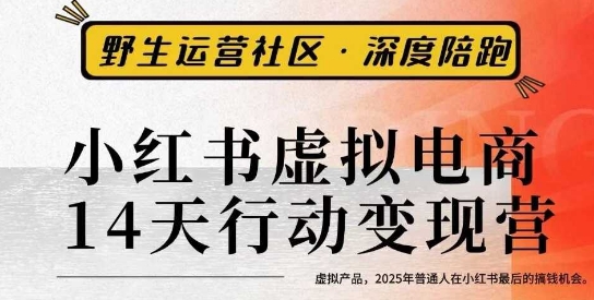 小红书虚拟电商14天变现训练营3.0，​虚拟产品，2025年普通人在小红书最后的搞钱机会-禾谷轻创网