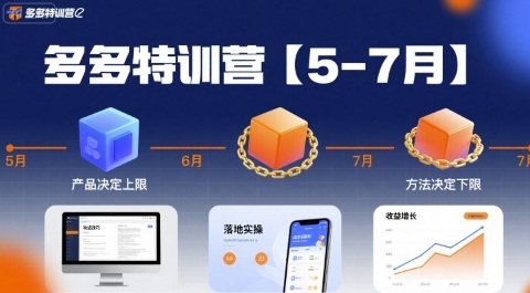 多多特训营，产品决定上限，方法决定下限，各种玩法技巧落地实操(更新)-禾谷轻创网