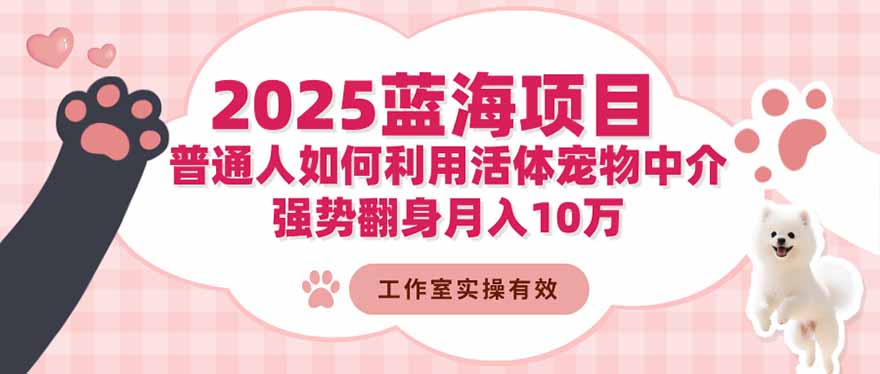 2025蓝海项目：普通人如何利用活体宠物中介，强势翻身月入10万-禾谷轻创网