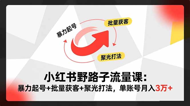 小红书野路子流量课：暴力起号+批量获客+聚光打法，单账号月入3万+-禾谷轻创网