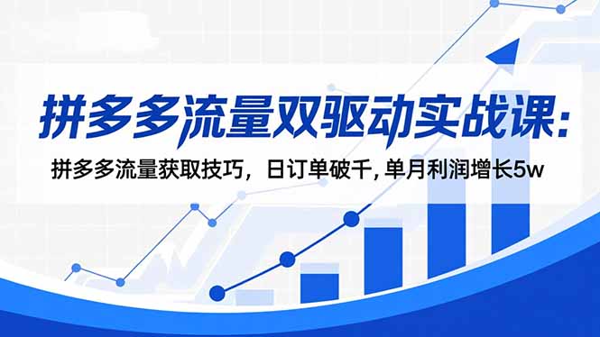 拼多多流量双驱动实战课：拼多多流量获取技巧，日订单破千,单月利润增长5w-禾谷轻创网