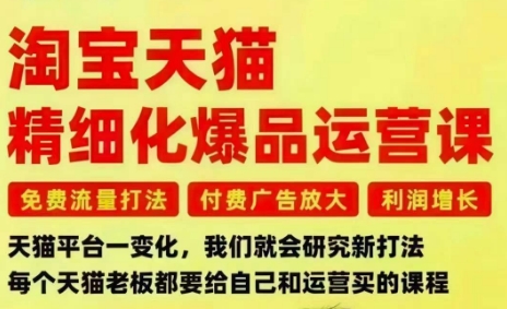 淘宝天猫精细化爆品运营课，免费流量打法-付费广告放大-利润增长-三大核心痛点，一次全部解决-禾谷轻创网