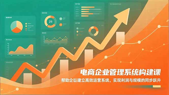 电商企业管理系统构建课：帮助企业建立高效运营系统，实现利润与规模的同步跃升-禾谷轻创网