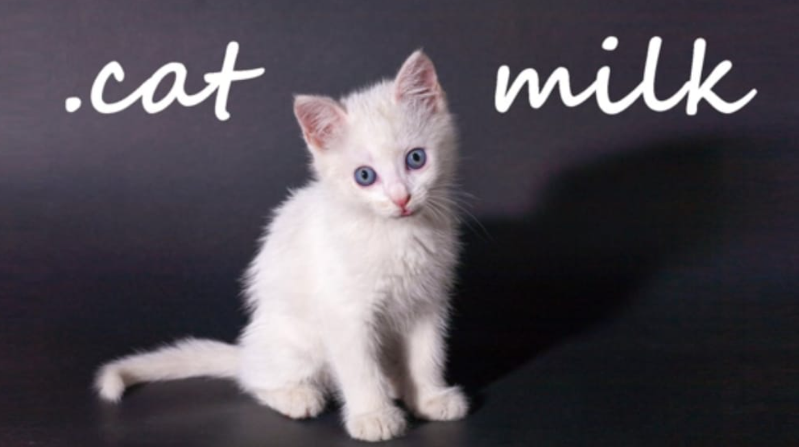 《小奶猫 .cat Milk》Switch英文版NSP下载-禾谷轻创网