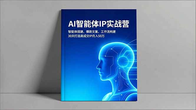AI智能体IP实战营，智能体搭建、爆款文案、工作流构建，30天打造高成交IP月入50万-禾谷轻创网