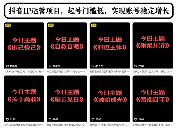 抖音IP运营项目，抖音今日主题玩法，起号门槛低，实现账号稳定增长-禾谷轻创网
