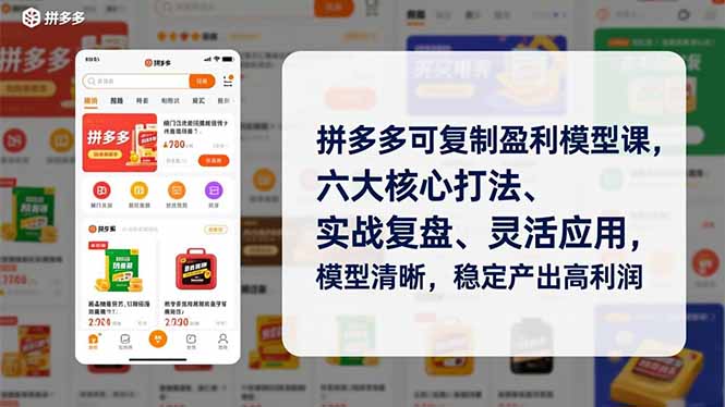 拼多多可复制盈利模型课，六大核心打法、实战复盘、灵活应用，模型清晰，稳定产出高利润-禾谷轻创网