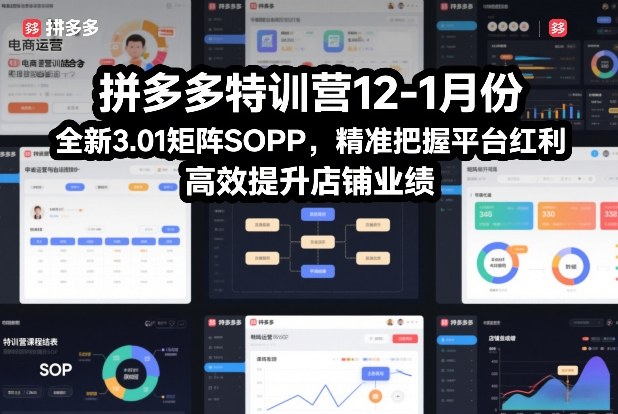 拼多多特训营12-1月份，全新3.01矩阵Sop，精准把握平台红利，高效提升店铺业绩-禾谷轻创网