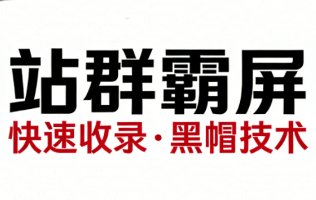 SEO野路子实战全集：快速收录、站群霸屏、黑帽技术-禾谷轻创网