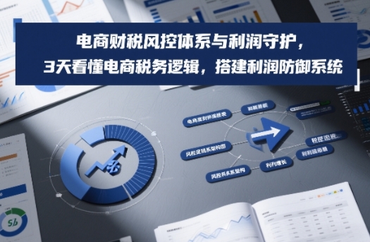 电商财税风控体系与利润守护，3天看懂电商税务逻辑，搭建利润防御系统-禾谷轻创网