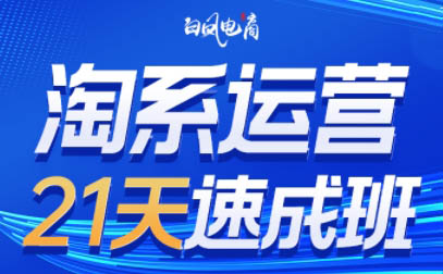 白凤电商·淘系运营21天速成班(更新2月)-禾谷轻创网