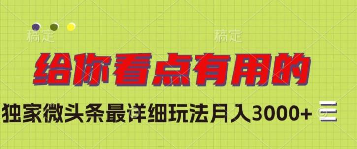 独家微头条最详细玩法，月入3000+【揭秘】-禾谷轻创网