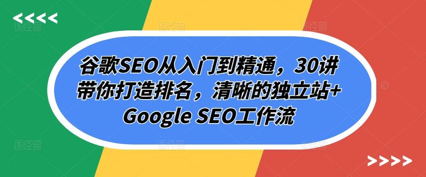 谷歌SEO从入门到精通，30讲带你打造排名，清晰的独立站+Google SEO工作流-禾谷轻创网