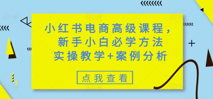 小红书电商高级课程，新手小白必学方法，实操教学+案例分析-禾谷轻创网