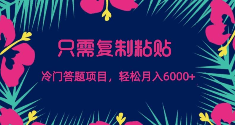 只需复制粘贴，冷门答题项目，轻松月入6000-禾谷轻创网
