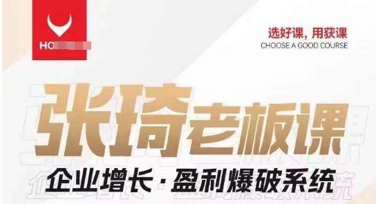 【组合课】张琦张琦老板企业增长·盈利爆破系统（直播专享）-禾谷轻创网