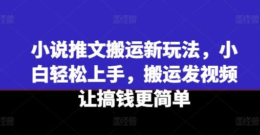 小说推文搬运新玩法，小白轻松上手，搬运发视频让搞钱更简单-禾谷轻创网