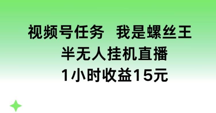 视频号任务，我是螺丝王， 半无人挂机1小时收益15元【揭秘】-禾谷轻创网