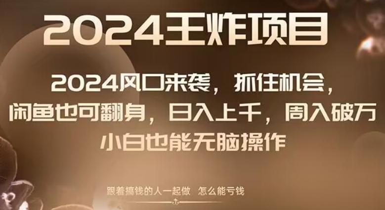 2024风口项目来袭，抓住机会，闲鱼也可翻身，日入上千，周入破万，小白也能无脑操作-禾谷轻创网