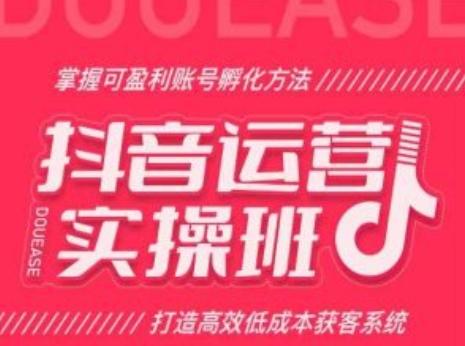 抖音运营实操班，掌握可盈利账号孵化方法，打造高效低成本获客系统-禾谷轻创网