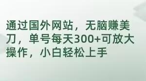 通过国外网站，无脑赚美刀，单号每天300+可放大操作，小白轻松上手【揭秘】-禾谷轻创网