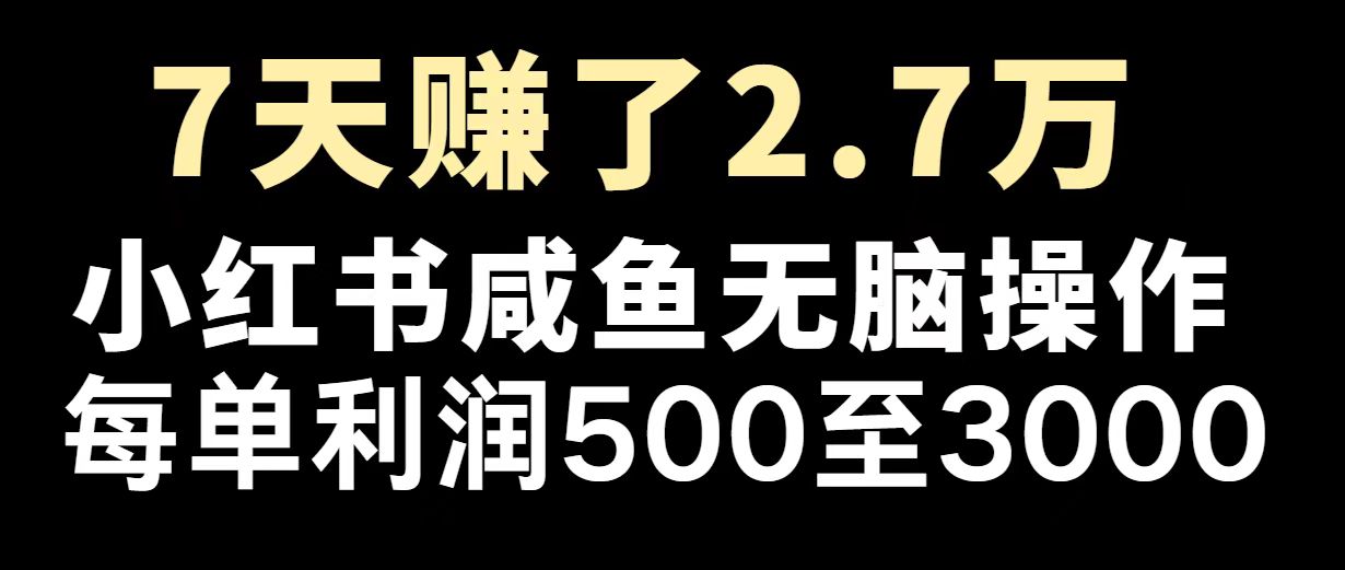 最赚钱项目之一，2025爆火，逆风翻盘！-禾谷轻创网