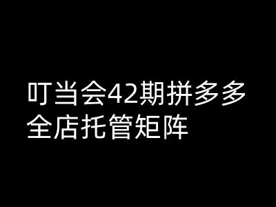叮当会拼多多打爆班原创高阶技术第42期，拼多多全店托管矩阵-禾谷轻创网