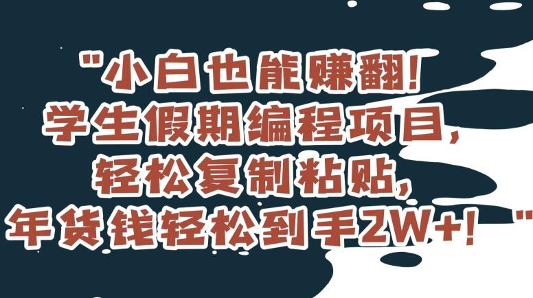 小白也能赚翻！学生假期编程项目，轻松复制粘贴，年货钱轻松到手2W+【揭秘】-禾谷轻创网