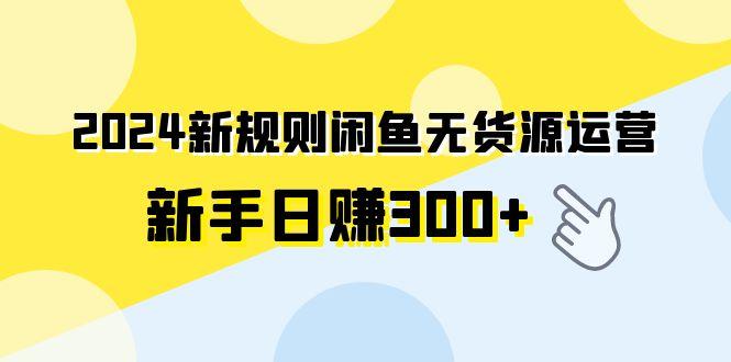 (9522期)2024新规则闲鱼无货源运营新手日赚300+-禾谷轻创网