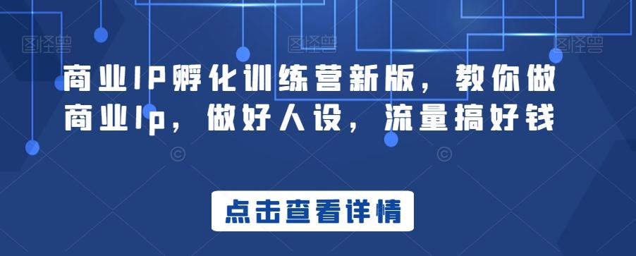 商业IP孵化训练营新版，教你做商业Ip，做好人设，流量搞好钱-禾谷轻创网