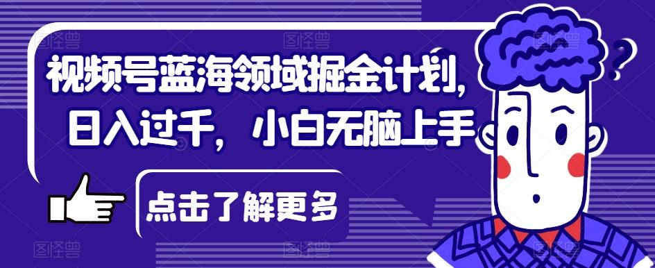视频号蓝海领域掘金计划，日入过千，小白无脑上手【揭秘】-禾谷轻创网
