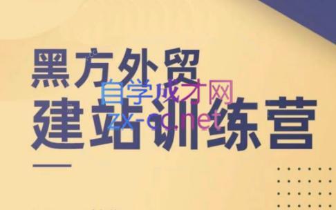 黑方老师·谷歌B端独立站建站推广-禾谷轻创网