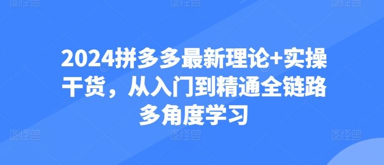 2024拼多多最新理论+实操干货，从入门到精通全链路多角度学习-禾谷轻创网