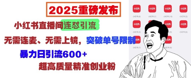 2025重磅发布：小红书直播间连怼引流，无需连麦、无需上镜，突破单号限制，暴力日引流600+-禾谷轻创网