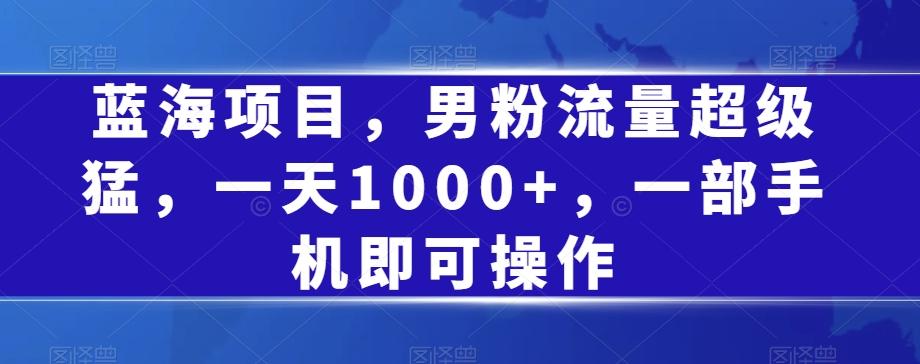 蓝海项目，男粉流量超级猛，一天1000+，一部手机即可操作【揭秘】-禾谷轻创网