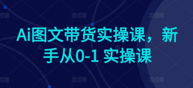 Ai图文带货实操课，新手从0-1 实操课-禾谷轻创网