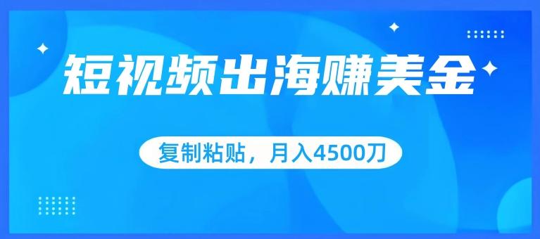 短视频出海赚美金，复制粘贴批量操作，小白轻松掌握，月入4500美刀【揭秘】-禾谷轻创网