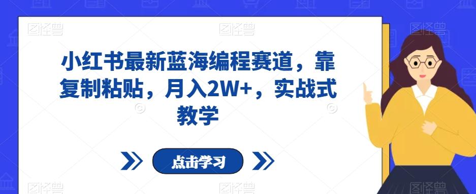 小红书最新蓝海编程赛道，靠复制粘贴，月入2W+，实战式教学【揭秘】-禾谷轻创网