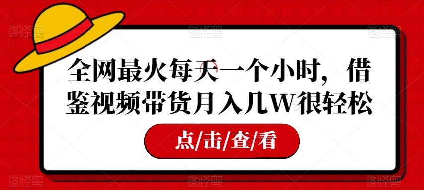 全网最火每天一个小时，借鉴视频带货月入几W很轻松【揭秘】-禾谷轻创网