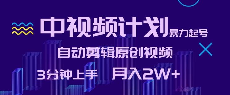 中视频计划暴力起号，自动剪辑原创视频，3分钟上手，月入2W+【揭秘】-禾谷轻创网