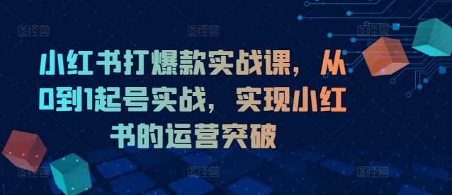 小红书打爆款实战课，从0到1起号实战，实现小红书的运营突破-禾谷轻创网